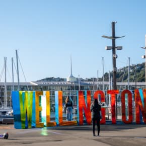 Policy, Communication, and Government Engagement (PCGE) Advisor - Wellington
