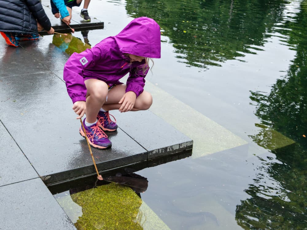 ARP City Promenade event 20181125 1317