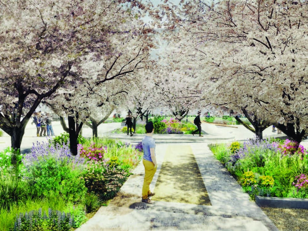 CTV Artist impression 20171018