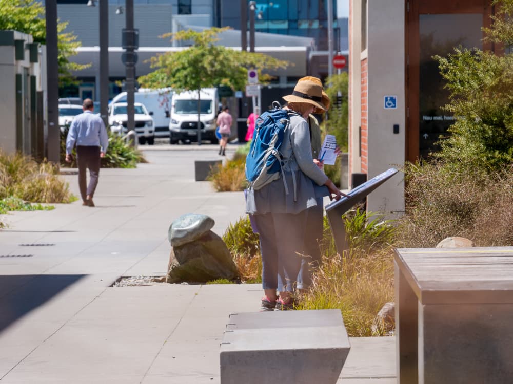 South Frame Laneway Development | Crown Infrastructure Delivery